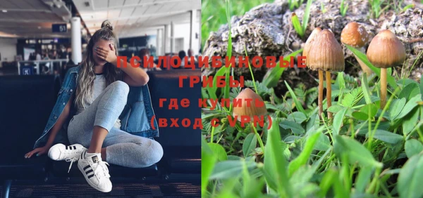 амф Белокуриха