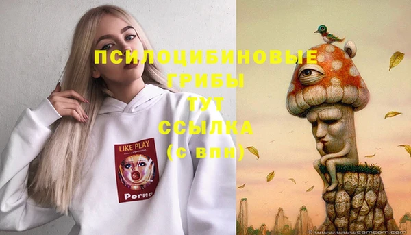 мдпв Беломорск